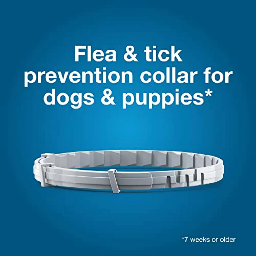 Flea & Tick Collar for Small Dogs